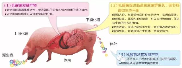 1507788989643977.jpg 微信圖片_20171012141645.jpg